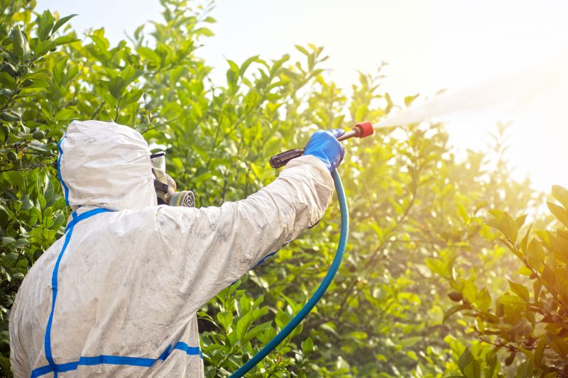 Fumigation Service in Gwinnett County, GA