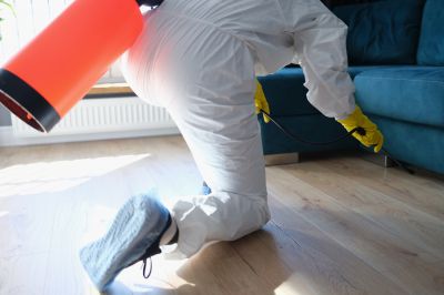 Pest Fumigation Service in Tampa, FL