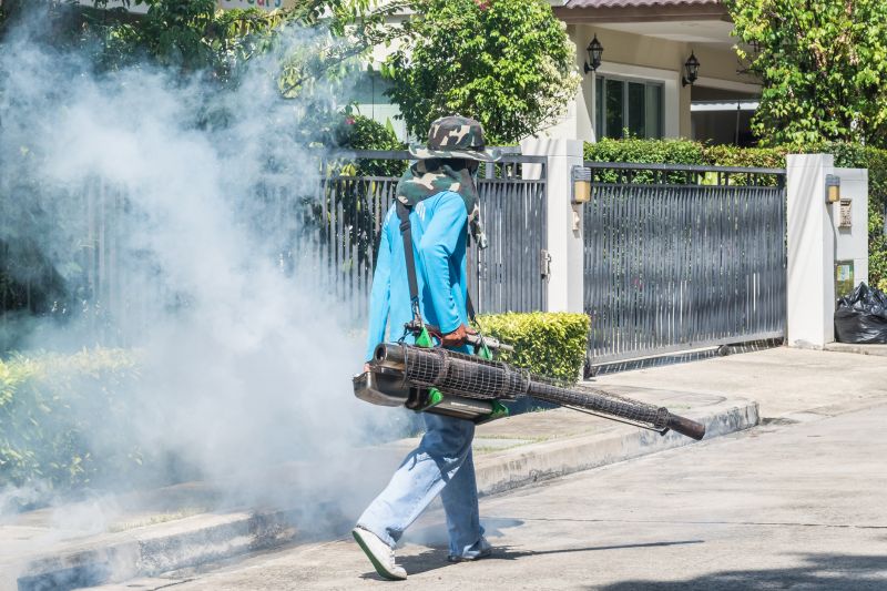 Spider Fumigation Service in Bellingham, WA