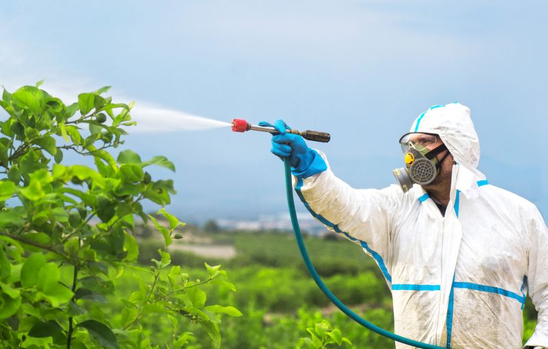 Spider Fumigation Service in Toledo, OH