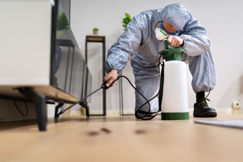 Rat Fumigation Service in Fort Myers, FL